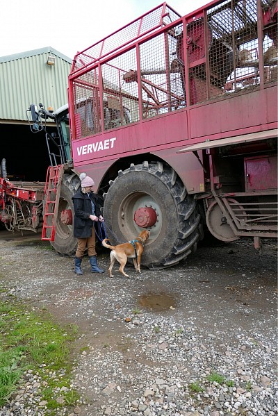 Thomas on a farm search